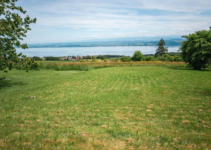 Vue Alpes Et * Provence